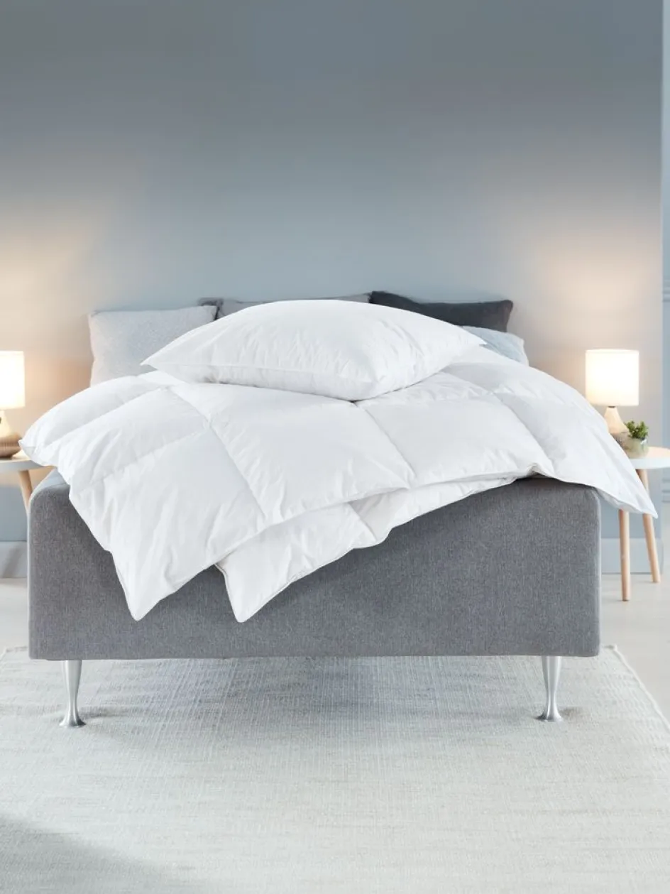 ALTABasicCouette en plumes de canard 240x220 ALTA chaude-JYSK New