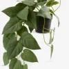ANDERSENPlante artificielle ANDERSEN L43cm à suspendre-JYSK Clearance