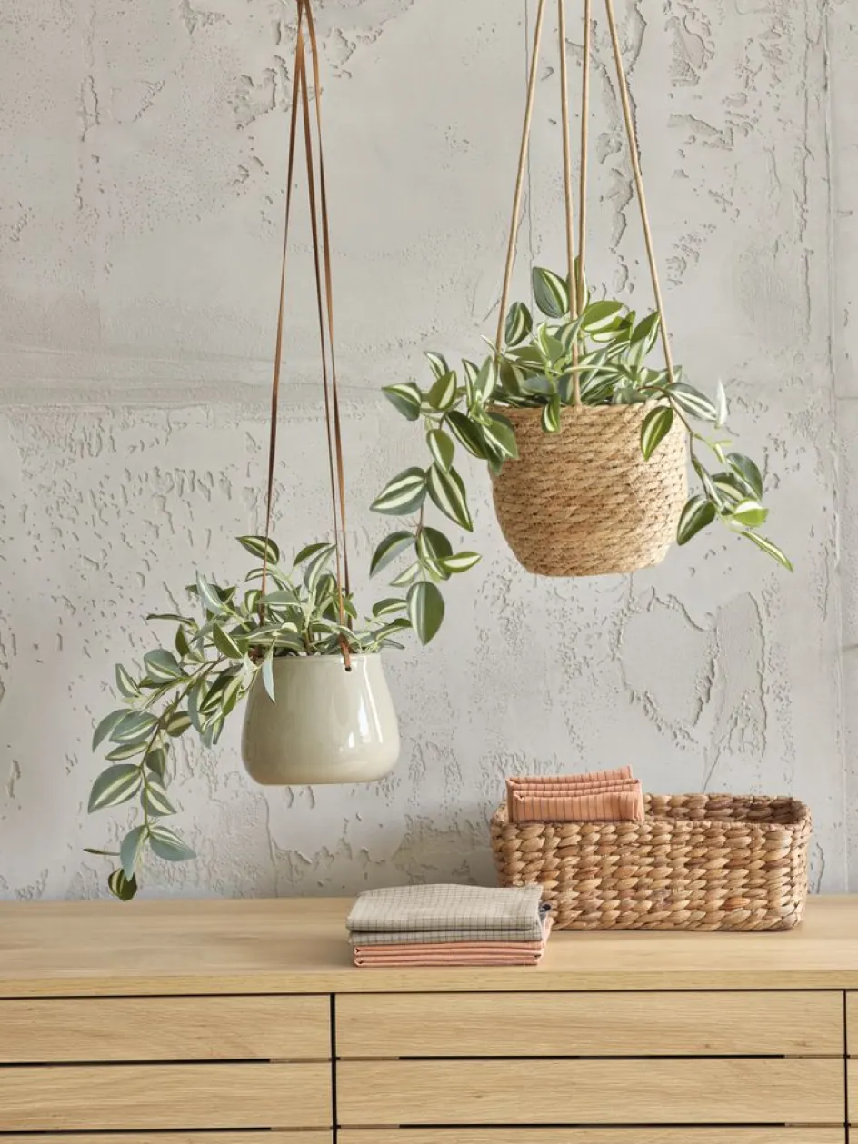 ASGARPlante artificielle ASGAR H48cm à suspendre-JYSK Outlet