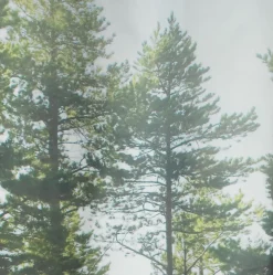 AVESTAPlusRideau de douche AVESTA 150x200 imprimé photo-JYSK Outlet