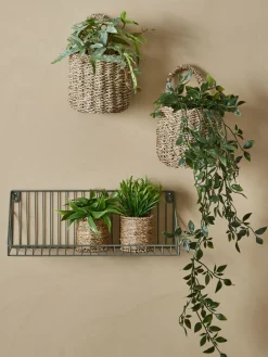 BERTRAMPlante artificielle BERTRAM Ø8xH18cm assorti-JYSK