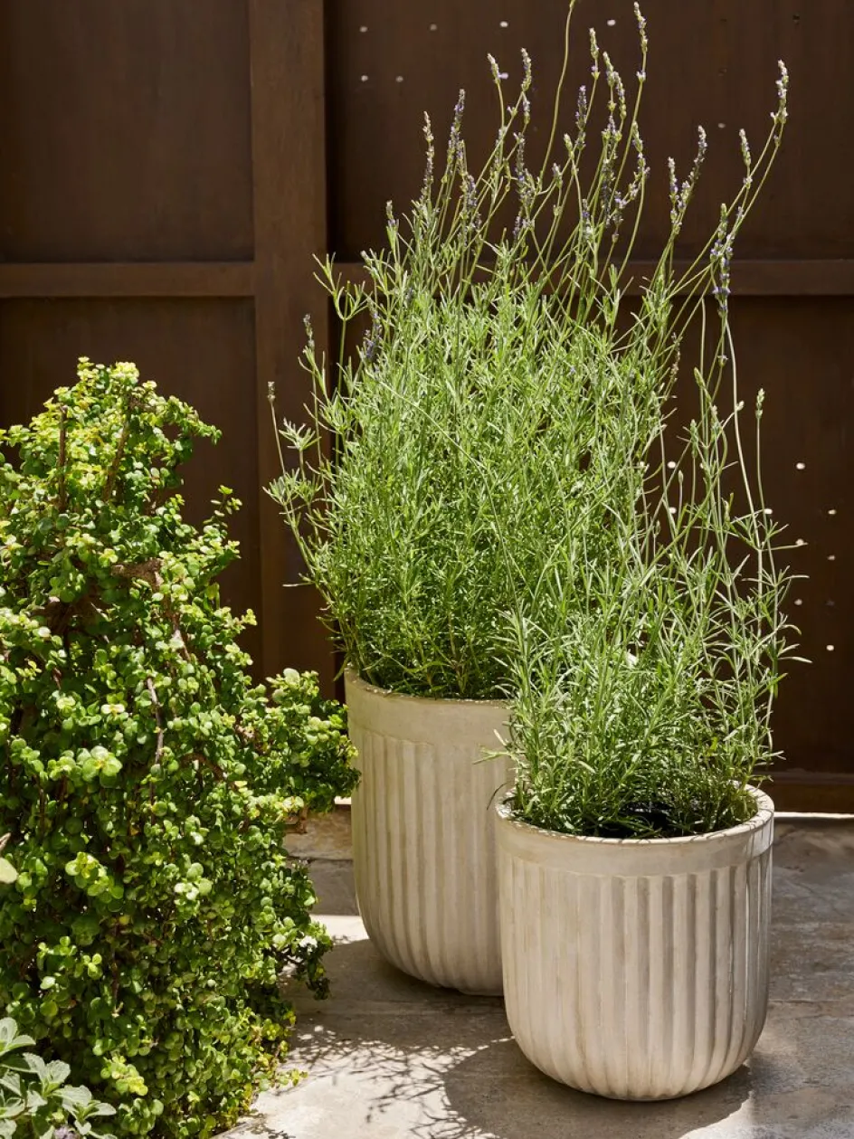 BRILLEANDBac à fleurs BRILLEAND Ø29xH29 naturel-JYSK Hot