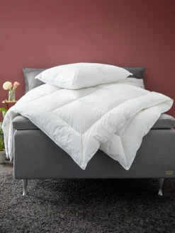 BRURIGoldOreiller synthétique 60x63/70 BRURI-KRONBORG New