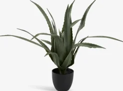 CELIUSPlante artificielle CELIUS H65cm aloe vera-JYSK Outlet