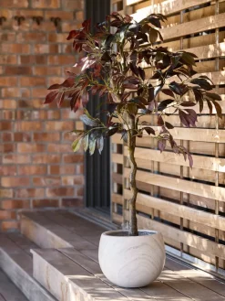 DVERGDYKKERPlante artificielle DVERGDYKKER H120cm arbre vert-JYSK Hot