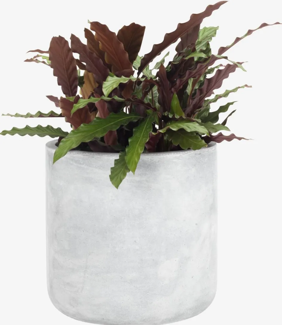 FLUGABac à fleurs FLUGA Ø33xH32 gris-JYSK Clearance