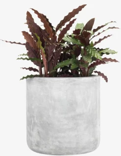 FLUGABac à fleurs FLUGA Ø40xH40 gris-JYSK Sale