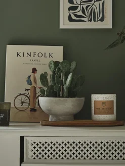 GILLIANPlante artificielle GILLIAN Ø20xH22cm a/pot-JYSK Hot