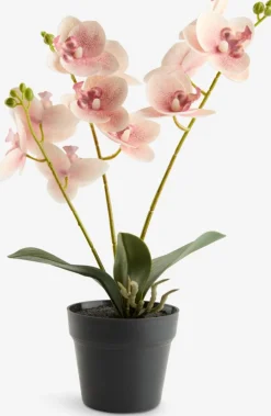 GUDJONPlante artificielle GUDJON H35cm orchidée rose-JYSK