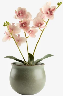 GUDJONPlante artificielle GUDJON H35cm orchidée rose-JYSK