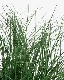 HAVELLEPlante artificielle HAVELLE H65cm herbe verte-JYSK Hot