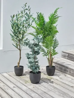 HAVHESTPlante artificielle HAVHEST H125cm olive-JYSK Online