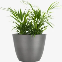 HVEPSBac à fleurs HVEPS Ø53xH41 gris-JYSK Outlet