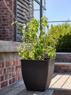 ISLOMPanier pour plantes ISLOM 38x38x39-JYSK Sale