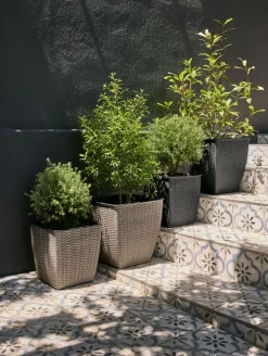 ISLOMPanier pour plantes ISLOM 38x38x39-JYSK Sale