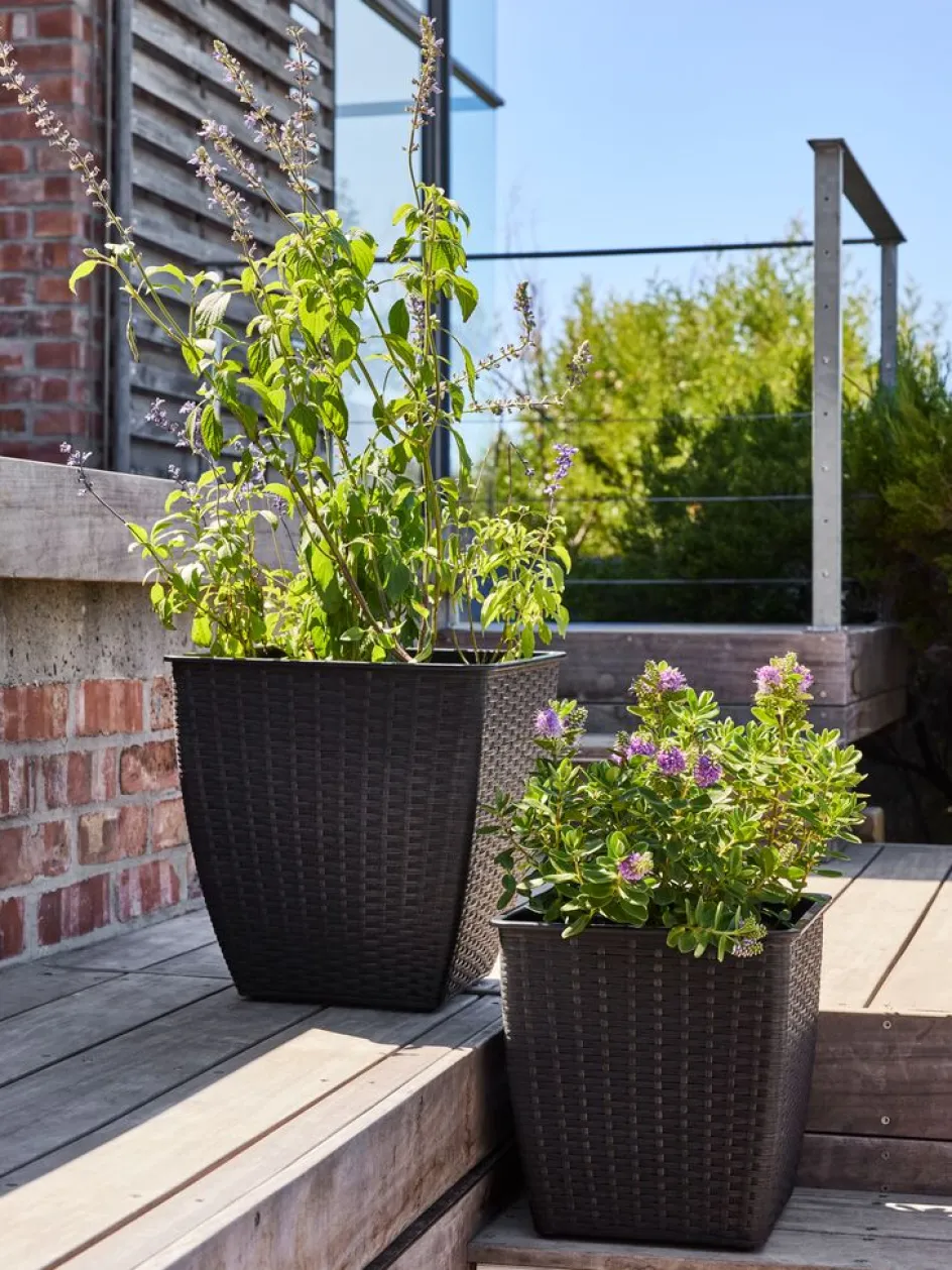 ISLOMPanier pour plantes ISLOM 38x38x39-JYSK Sale