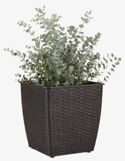 ISLOMPanier pour plantes ISLOM 31x31x32-JYSK Best
