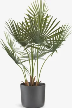 JAKOBPlante artificielle JAKOB H73cm vert-JYSK Outlet