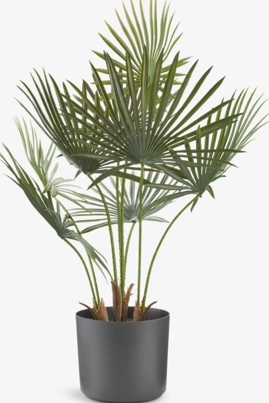 JAKOBPlante artificielle JAKOB H73cm vert-JYSK Outlet