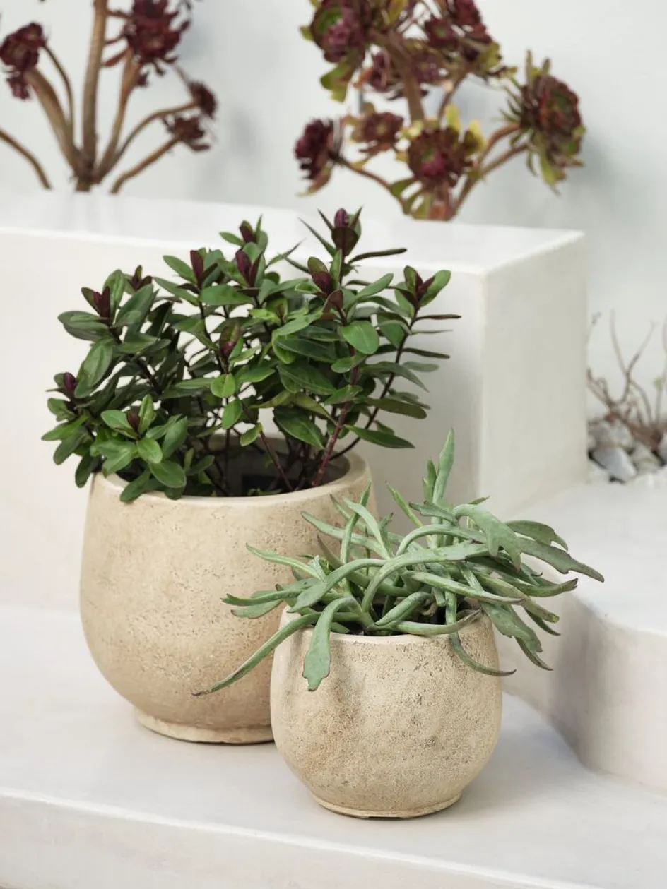 JERPEBac à fleurs JERPE Ø31/21 naturel 2pcs/lot-JYSK Best