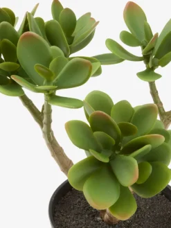 JOSTEINPlante artificielle JOSTEIN H23cm vert-JYSK Outlet