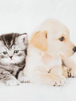 KAYABasicParure de lit KAYA Micro 140x200 blanc-JYSK New