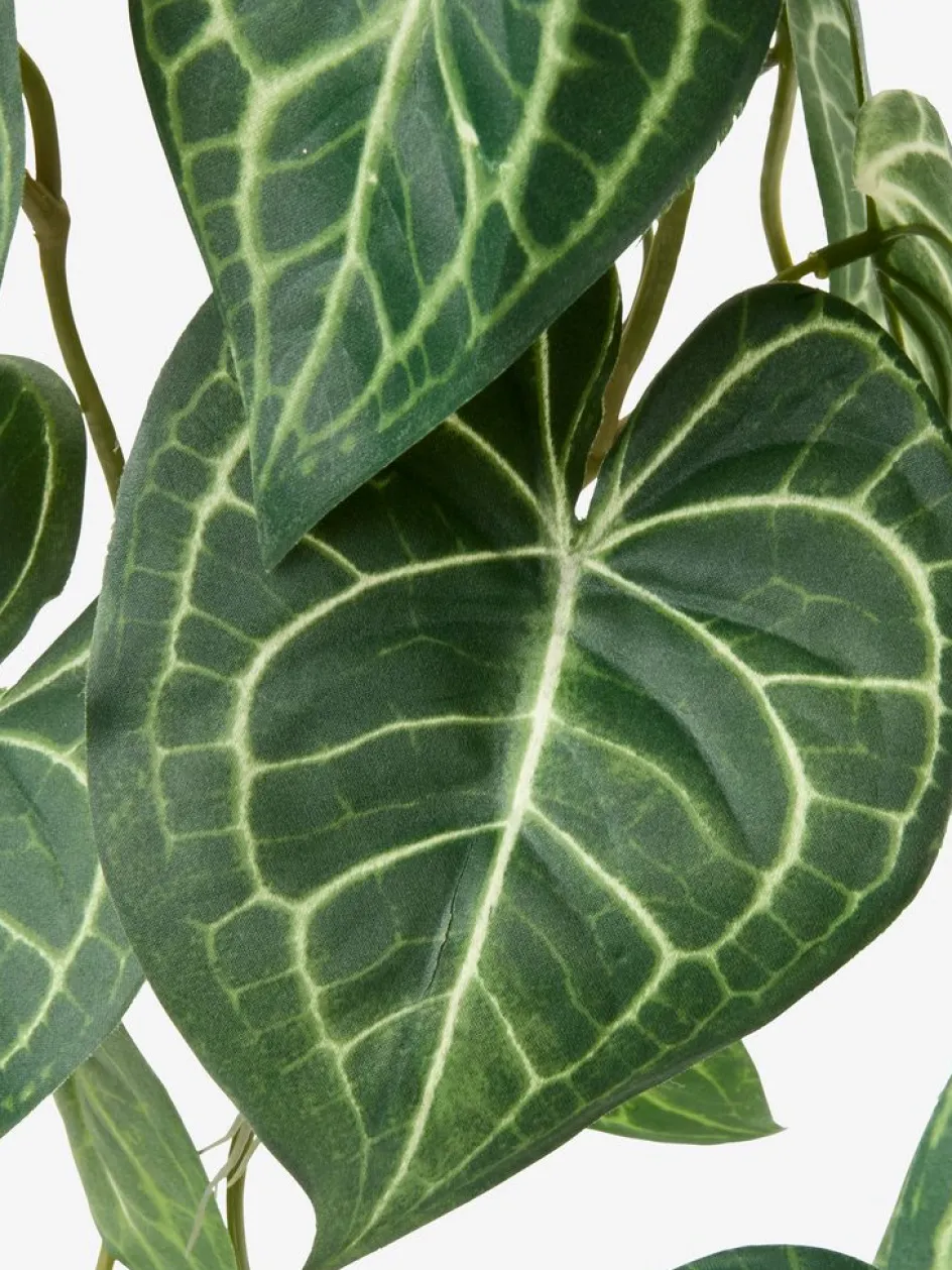 KNOPPSVANEPlante artificielle KNOPPSVANE H30cm vert-JYSK Online