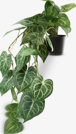 KNOPPSVANEPlante artificielle KNOPPSVANE H30cm vert-JYSK Online