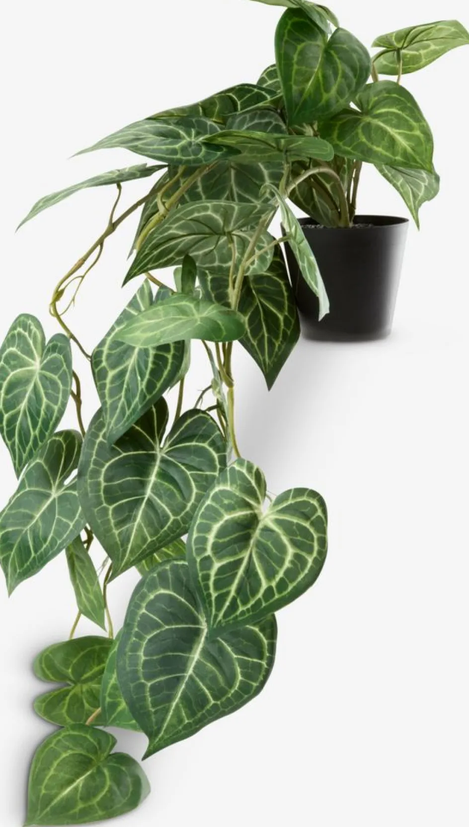 KNOPPSVANEPlante artificielle KNOPPSVANE H30cm vert-JYSK Online