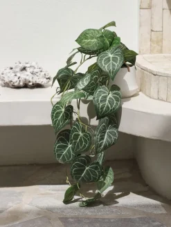 KNOPPSVANEPlante artificielle KNOPPSVANE H30cm vert-JYSK Online