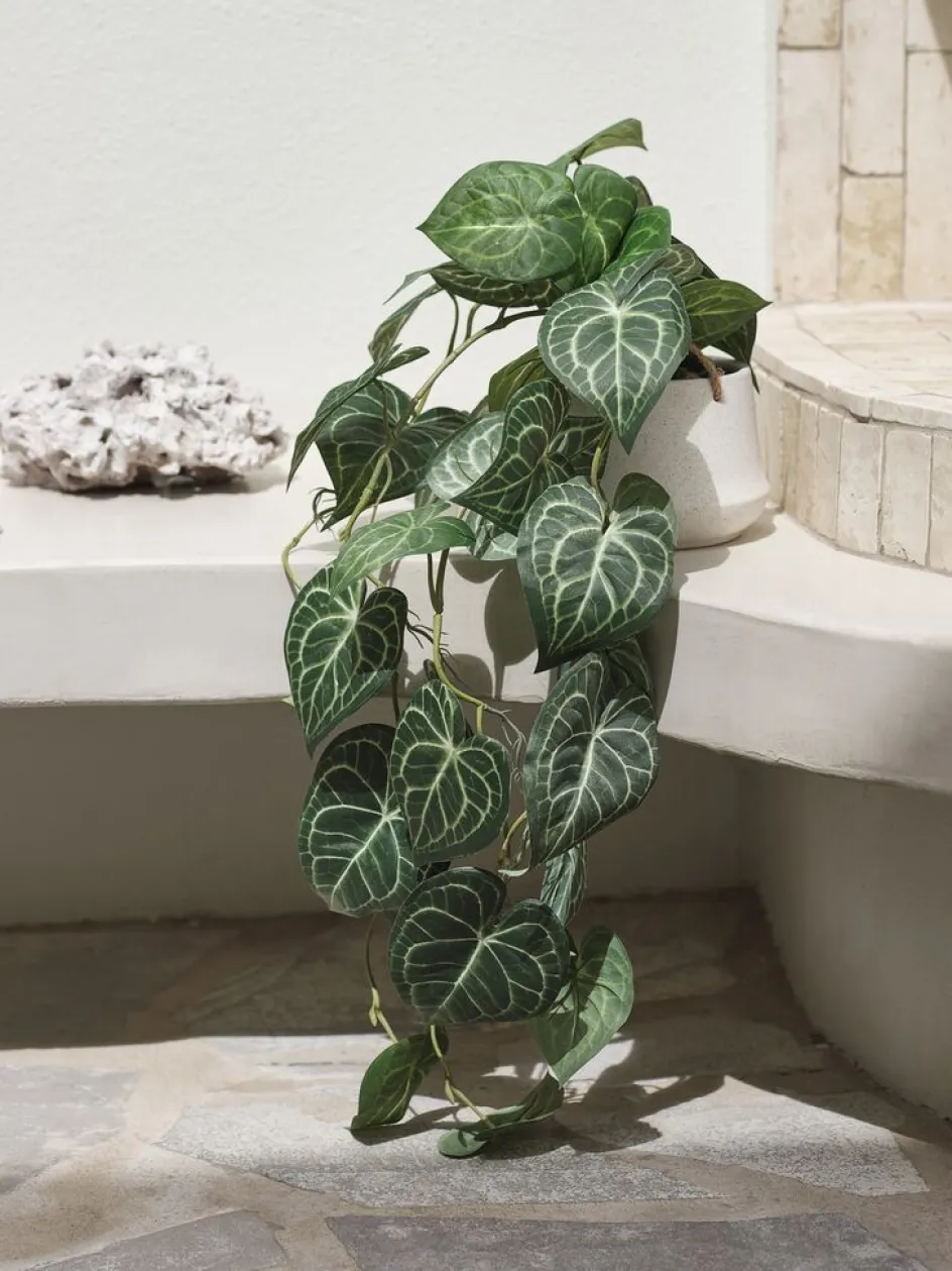 KNOPPSVANEPlante artificielle KNOPPSVANE H30cm vert-JYSK Online