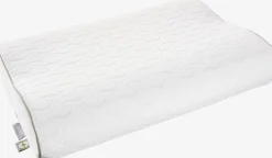 KYRKJAGoldOreiller mousse à mémoire de forme 40x60x11/9 KYRKJA-WELLPUR Outlet