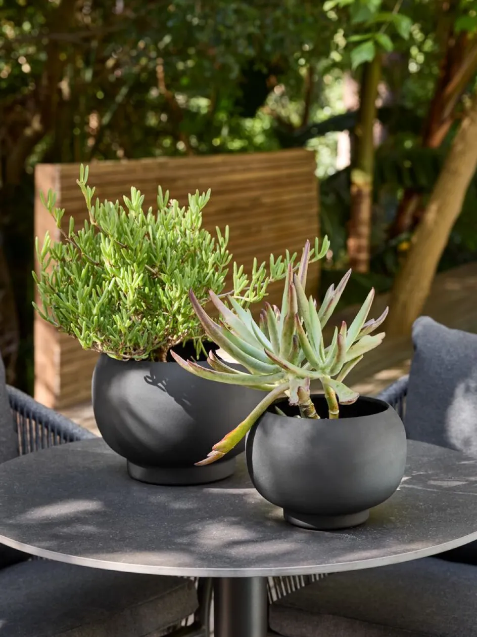 LOMBac à fleurs LOM Ø23/19 assorti 2pcs/lot-JYSK Online