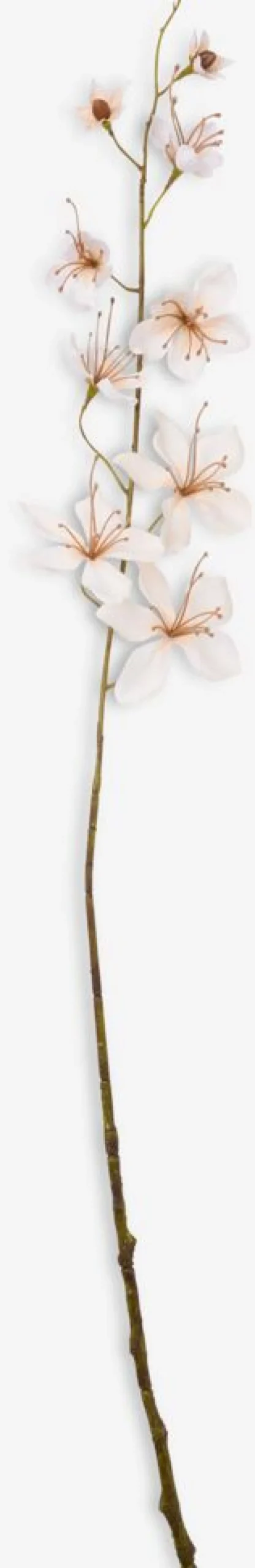 OLAFleur artificielle OLA H80cm blanche à suspendre-JYSK Discount