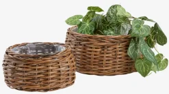 ORREPanier pour plantes ORRE Ø41/30 kubu brun 2pcs/lot-JYSK Discount