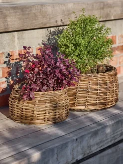 ORREPanier pour plantes ORRE Ø41/30 kubu brun 2pcs/lot-JYSK Discount