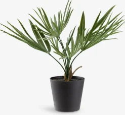 PAULPlante artificielle PAUL H33cm vert-JYSK Outlet