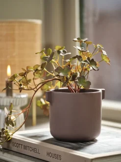 ROBINCache-pot ROBIN Ø12xH11cm raisin poudré-JYSK Clearance