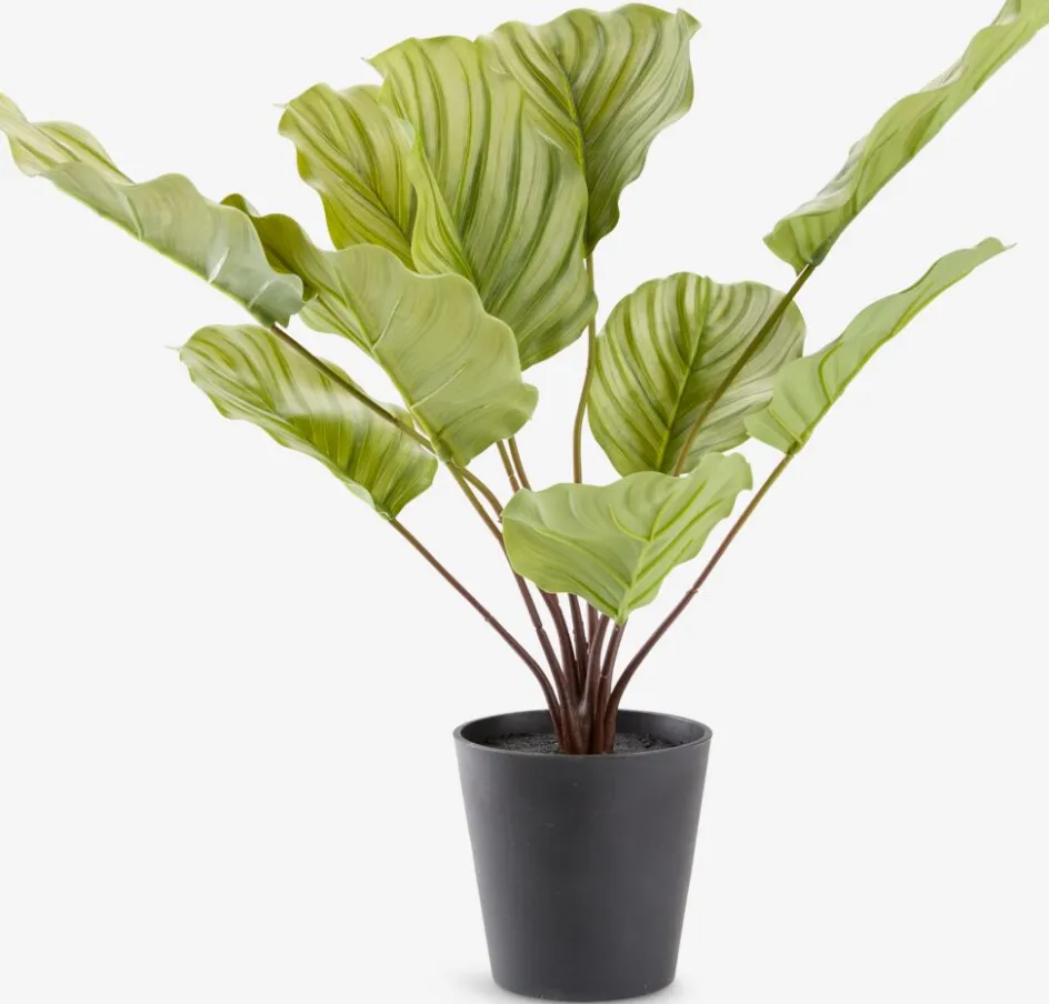 ROLFPlante artificielle ROLF H55cm vert-JYSK Discount