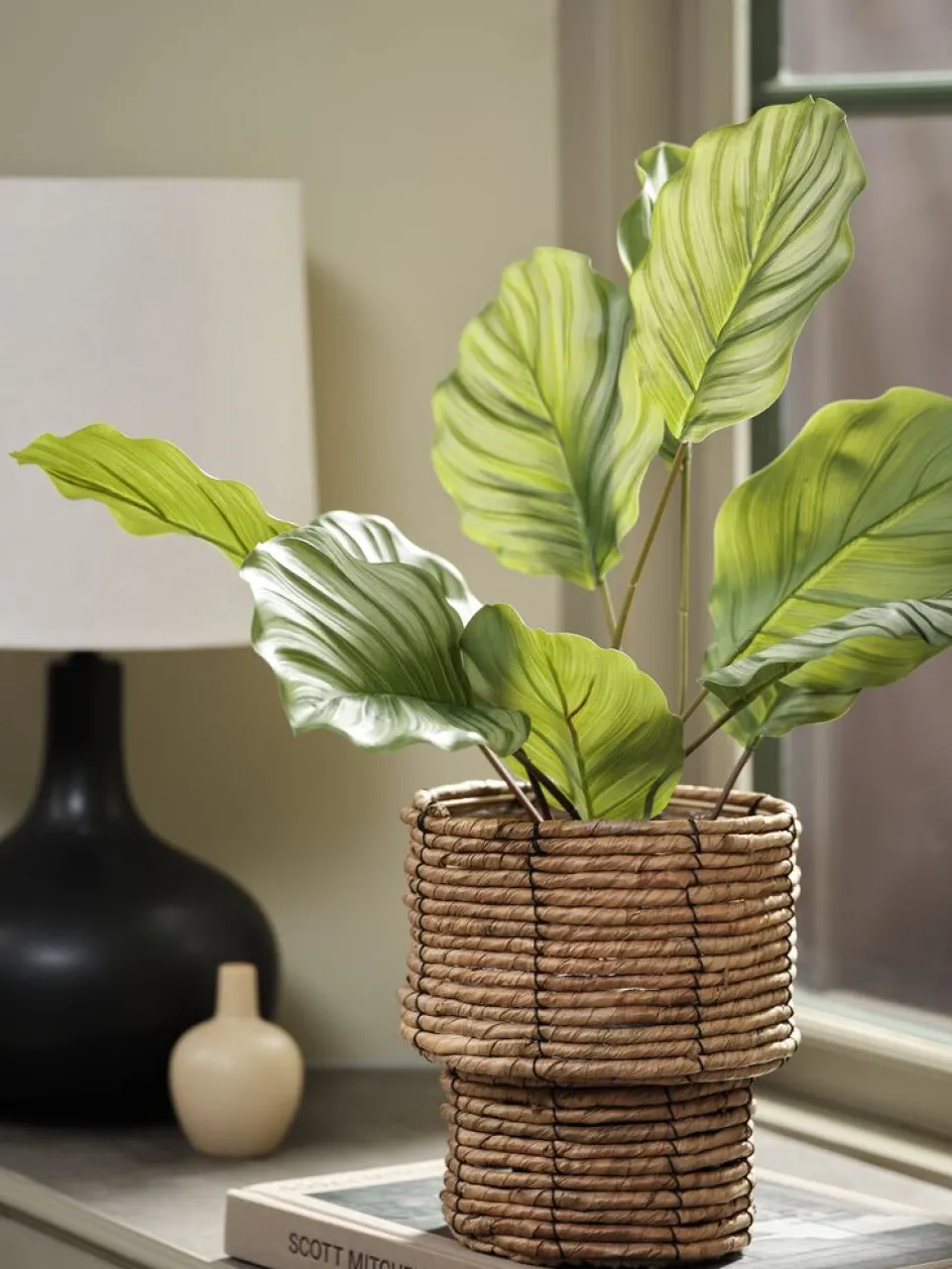 ROLFPlante artificielle ROLF H55cm vert-JYSK Discount