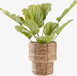 ROLFPlante artificielle ROLF H55cm vert-JYSK Discount