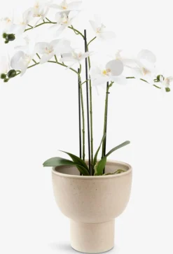 RONNYCache-pot RONNY Ø20xH21cm sable-JYSK Best