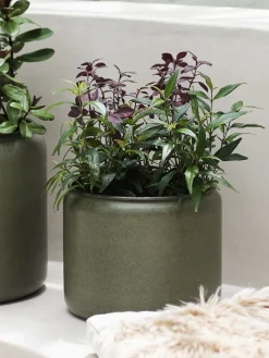 SNORKLABac à fleurs SNORKLA Ø31xH27 vert olive-JYSK Clearance