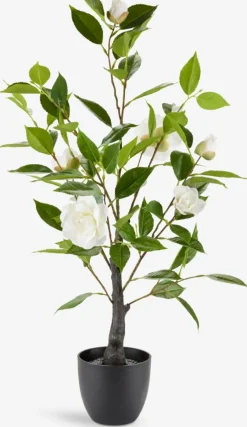 SOLOPGANGPlante artificielle SOLOPGANG H80 rose blanche-JYSK Hot