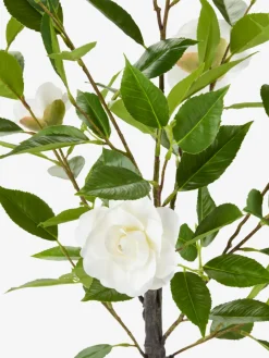 SOLOPGANGPlante artificielle SOLOPGANG H80 rose blanche-JYSK Hot