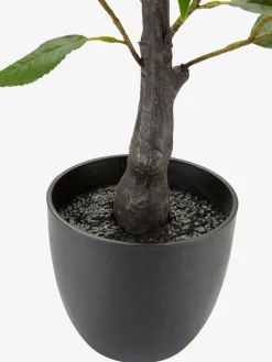 SOLOPGANGPlante artificielle SOLOPGANG H80 rose blanche-JYSK Hot