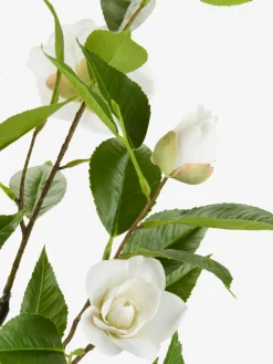 SOLOPGANGPlante artificielle SOLOPGANG H80 rose blanche-JYSK Hot