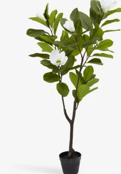 SPINDELPlante artificielle SPINDEL H120cm magnolia vert/blanc-JYSK Clearance