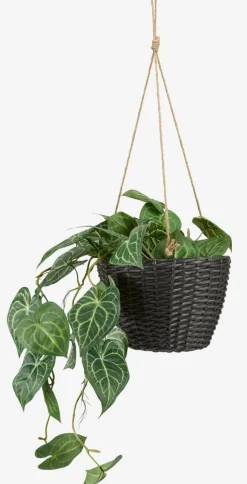 STORSKARVJardinière suspendue STORSKARV Ø27xH19 assorti-JYSK Outlet