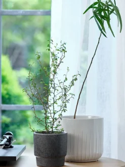 THORFINNCache-pot THORFINN Ø13xH13cm gris-JYSK Outlet